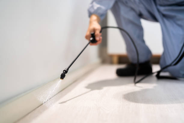 Licensed Mosquito Control service in Tichigan, WI - Show Me Pest Control