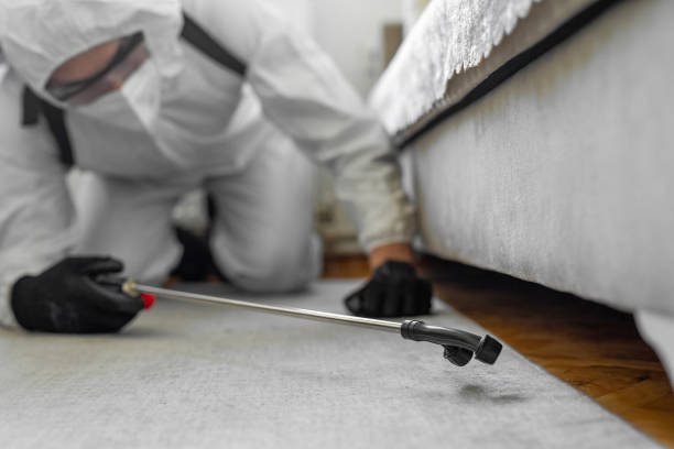 Professional Ant Control technician working in Tichigan, WI