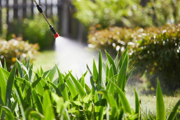 24/7 Emergency Mosquito Control experts in Tichigan, WI