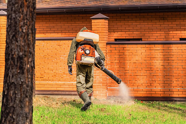 Top rated local Mosquito Control specialists in Tichigan, WI